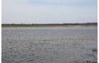 Property photo 6 - 194.67 Acres Offered in 2 Tracts